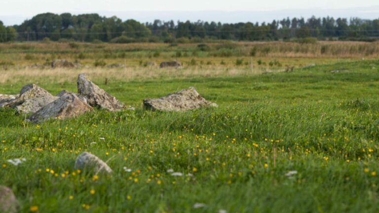 hero_naturbetesmark hero_naturbetesmark