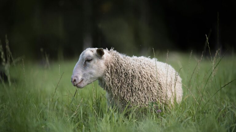 hero_betandefar hero_betandefar