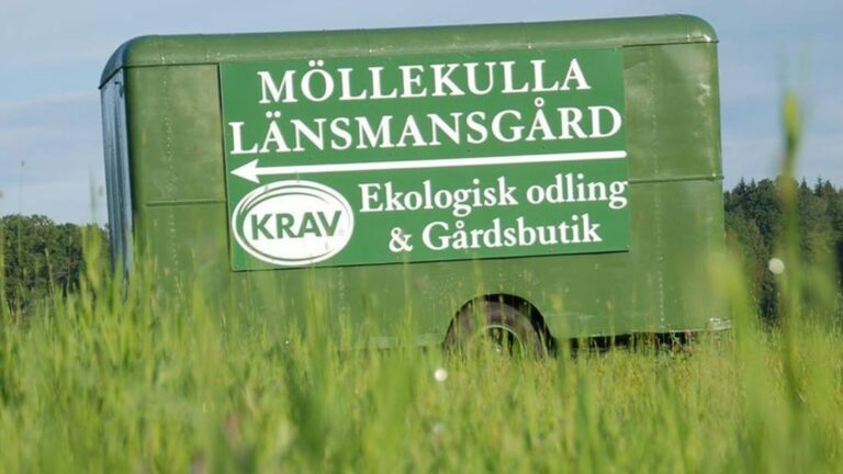 MicrosoftTeams-image (1)