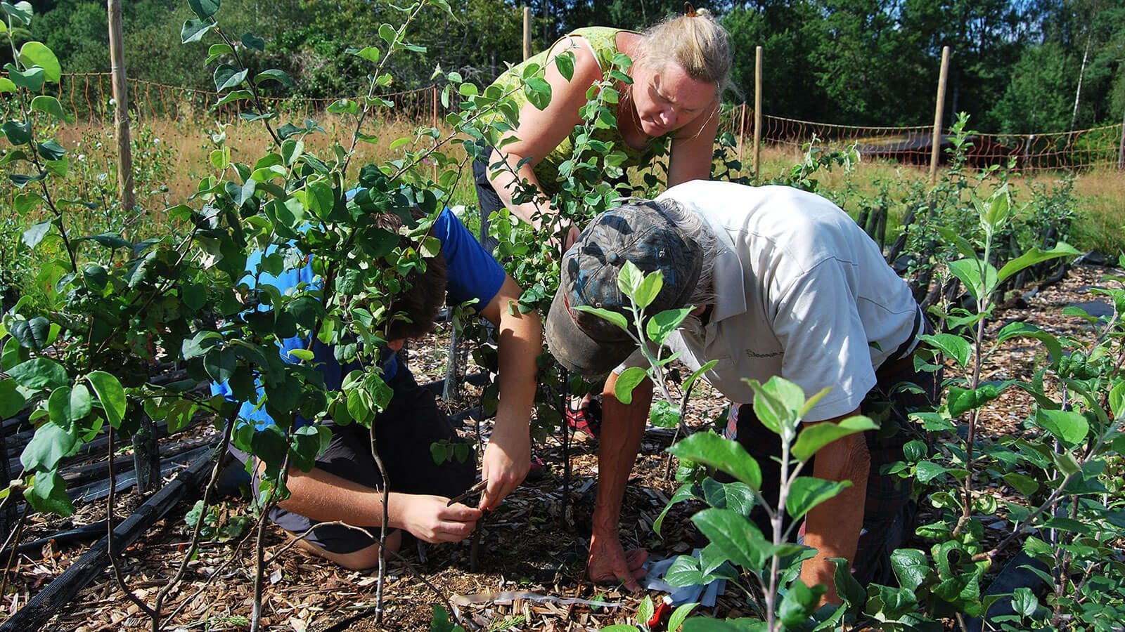 malvagard5-1686140022