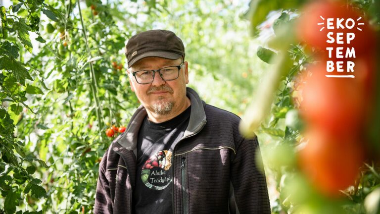 kampanjbild-ekoseptember-1693463050-1729066766