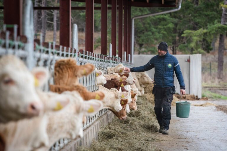 Till hemsidan-1747314331 Till hemsidan-1747314331