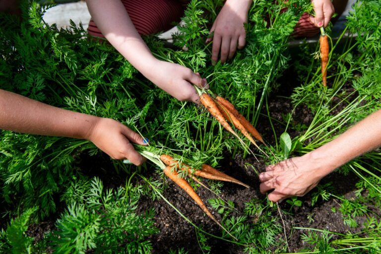 emmarung_odlar-23_1600x1068-1762341056