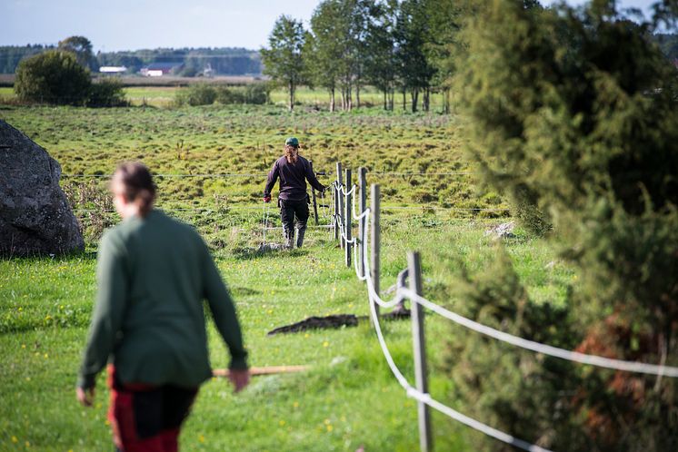 KRAVs prognos: Nästan två av tre lantbrukare över 60 år 2035 KRAVs prognos: Nästan två av tre lantbrukare över 60 år 2035